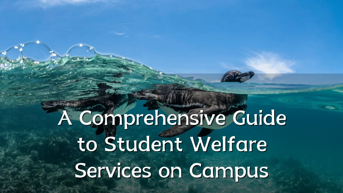 A Comprehensive Guide to Student Welfare Services on Campus
