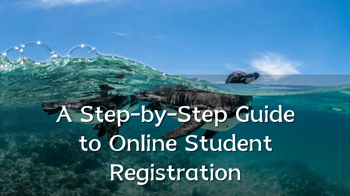 A Step-by-Step Guide to Online Student Registration