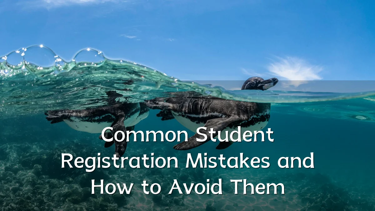 Common Student Registration Mistakes and How to Avoid Them