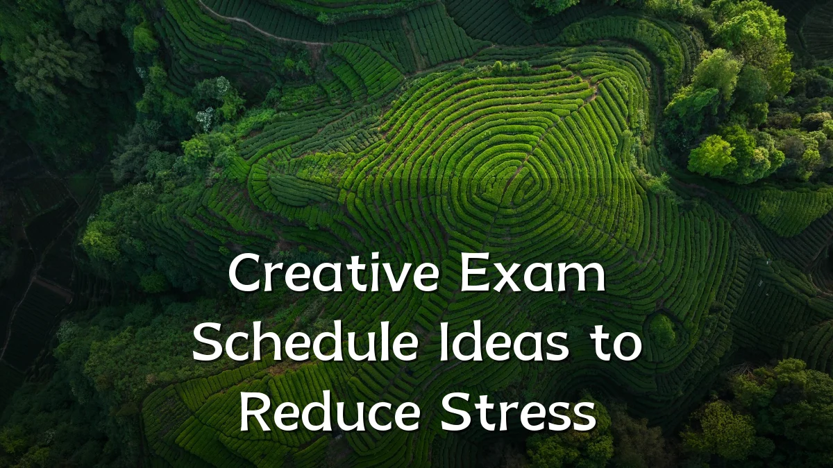 Creative Exam Schedule Ideas to Reduce Stress