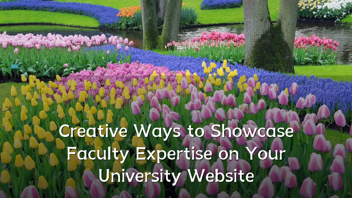 Creative Ways to Showcase Faculty Expertise on Your University Website
