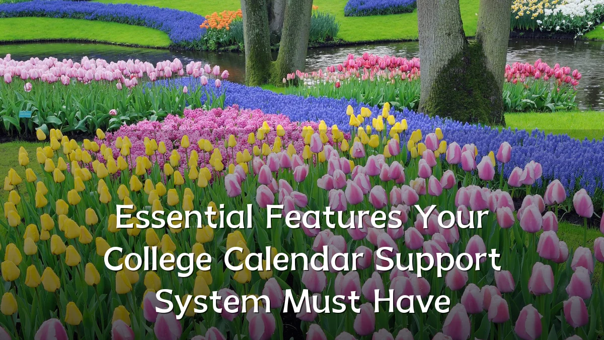 Essential Features Your College Calendar Support System Must Have