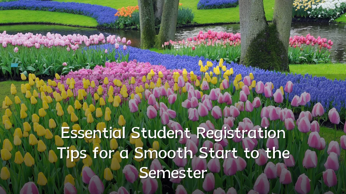 Essential Student Registration Tips for a Smooth Start to the Semester