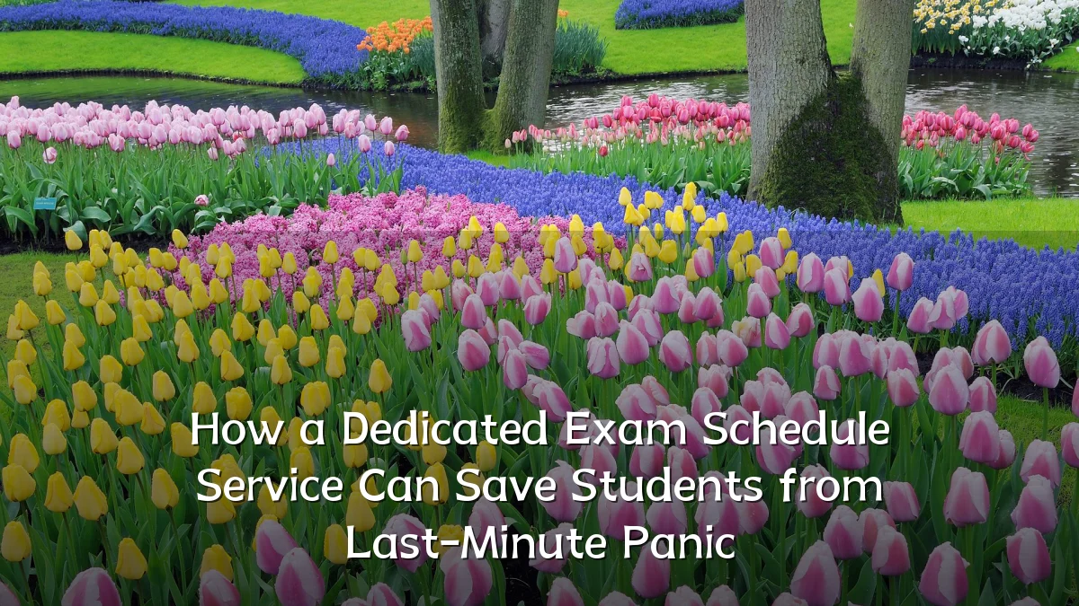 How a Dedicated Exam Schedule Service Can Save Students from Last-Minute Panic