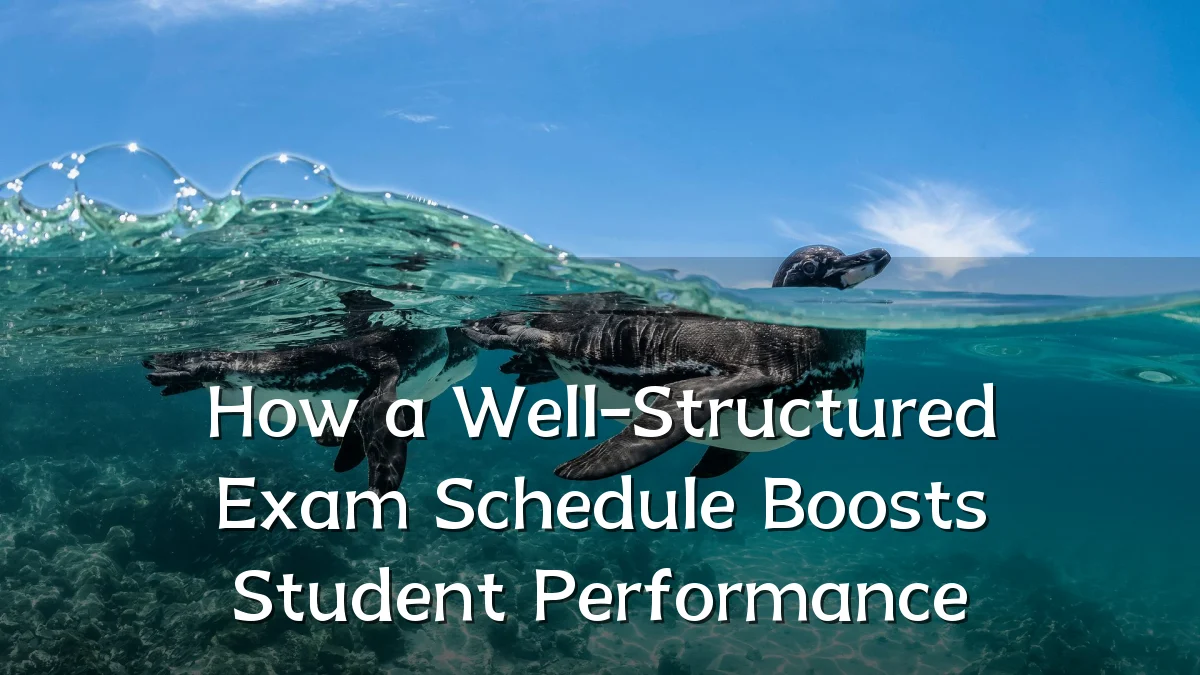 How a Well-Structured Exam Schedule Boosts Student Performance