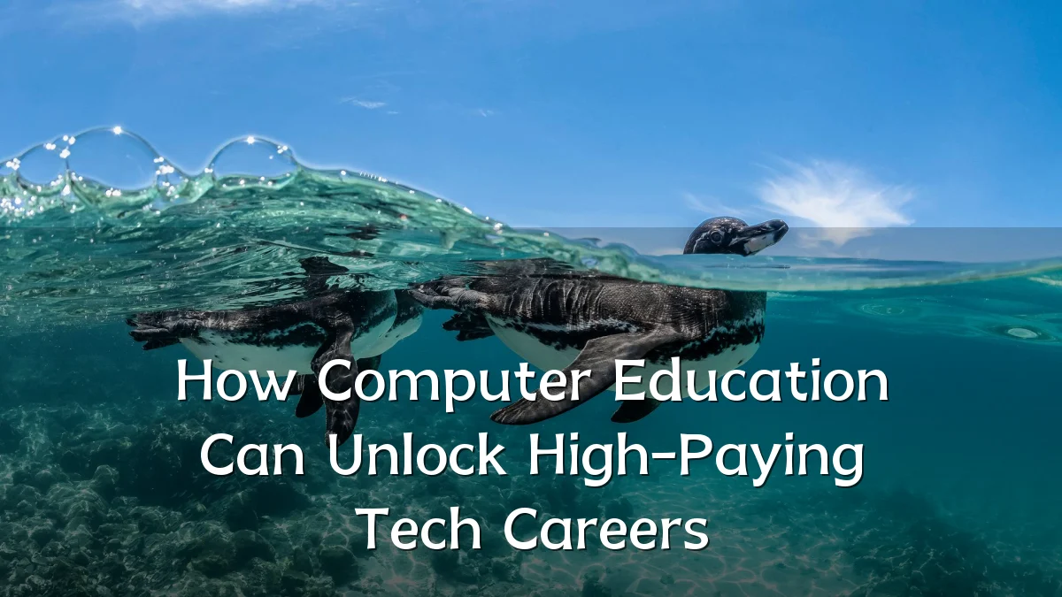How Computer Education Can Unlock High-Paying Tech Careers
