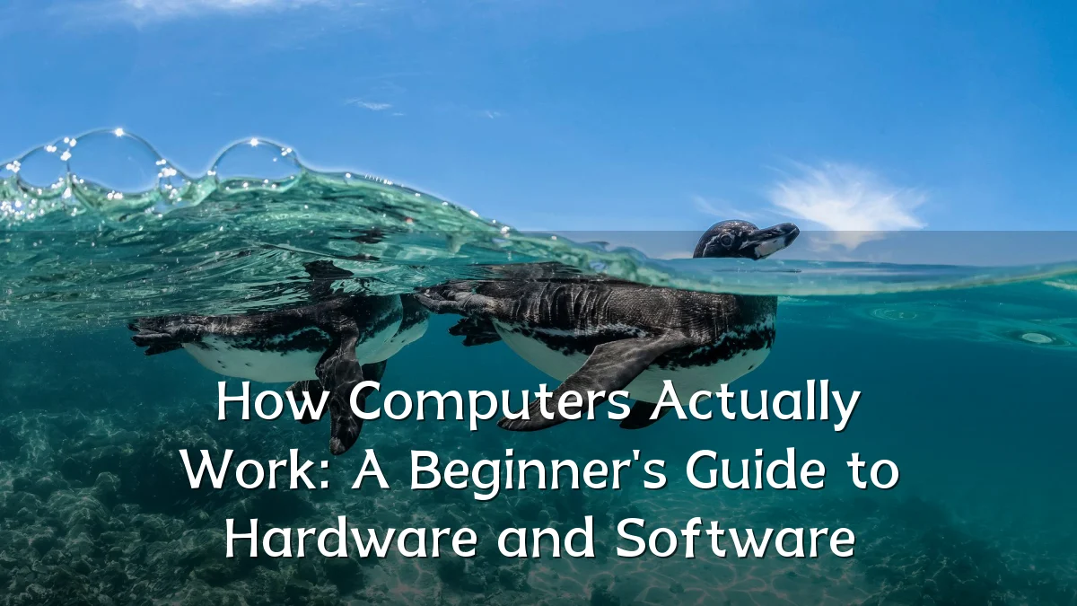 How Computers Actually Work: A Beginner's Guide to Hardware and Software