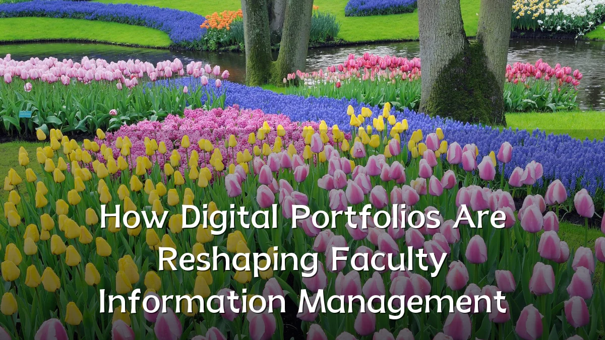 How Digital Portfolios Are Reshaping Faculty Information Management