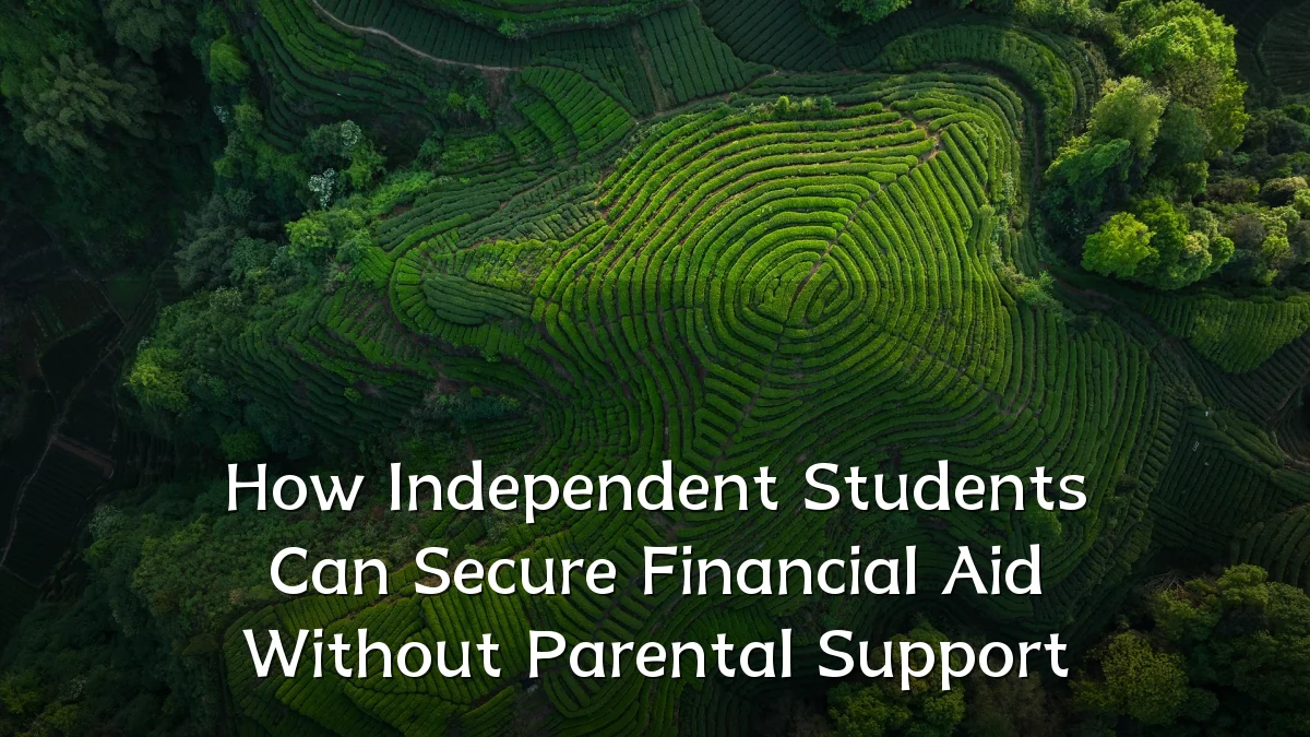 How Independent Students Can Secure Financial Aid Without Parental Support