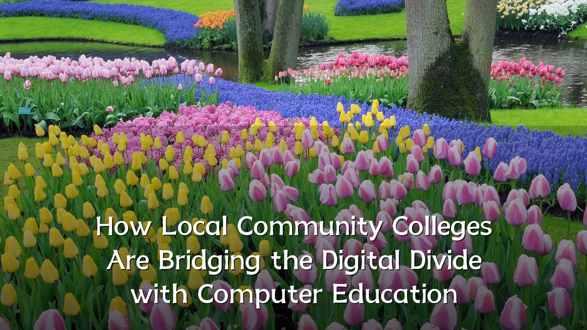 How Local Community Colleges Are Bridging the Digital Divide with Computer Education