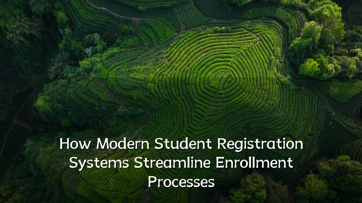 How Modern Student Registration Systems Streamline Enrollment Processes