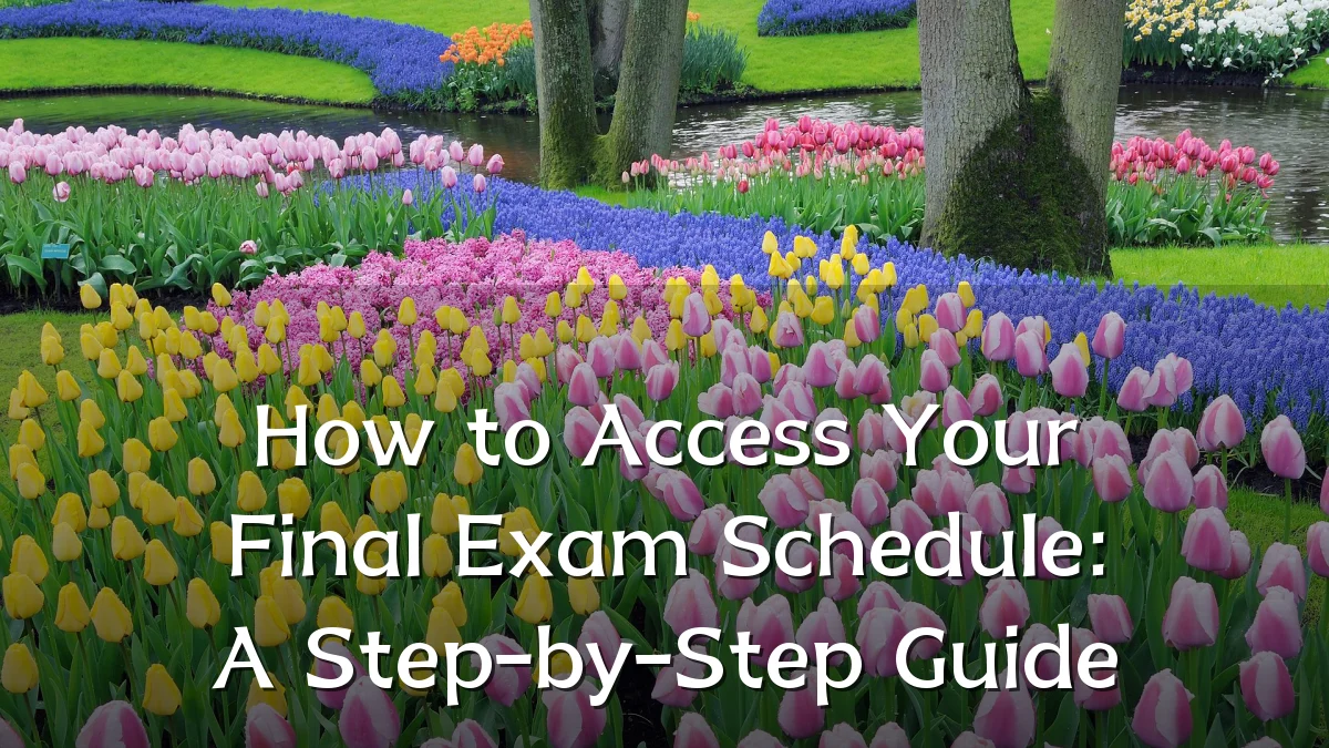 How to Access Your Final Exam Schedule: A Step-by-Step Guide