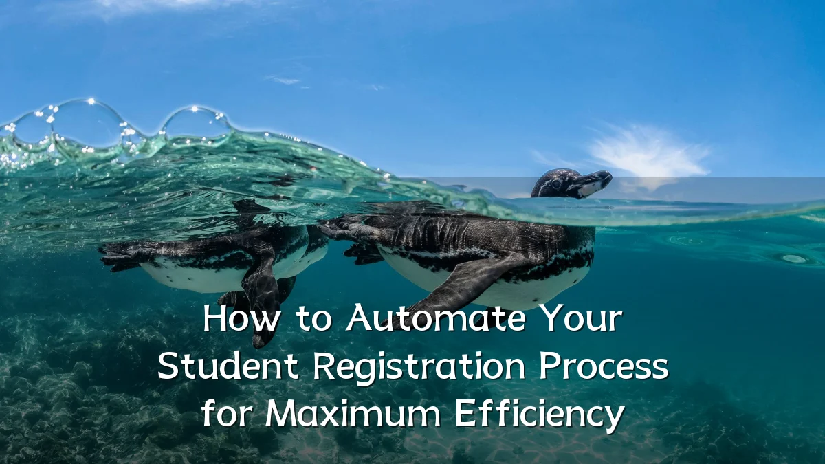 How to Automate Your Student Registration Process for Maximum Efficiency