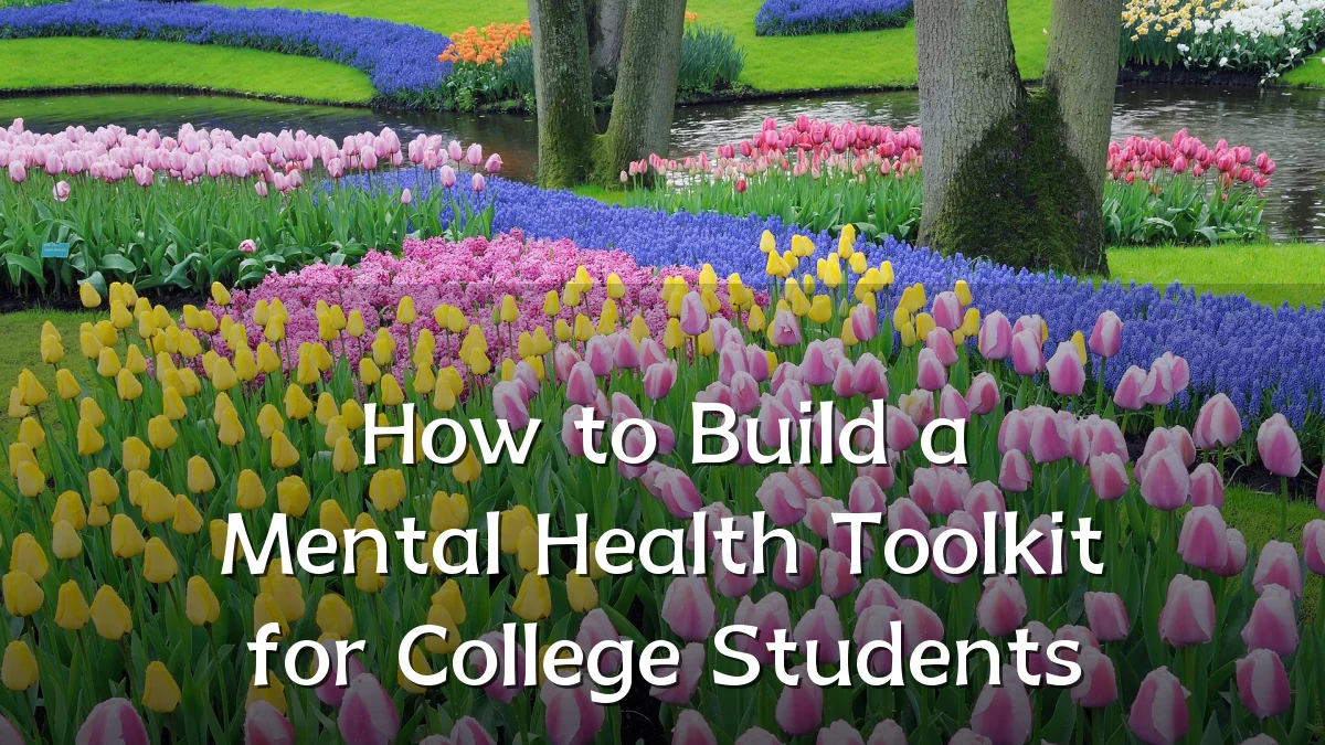 How to Build a Mental Health Toolkit for College Students