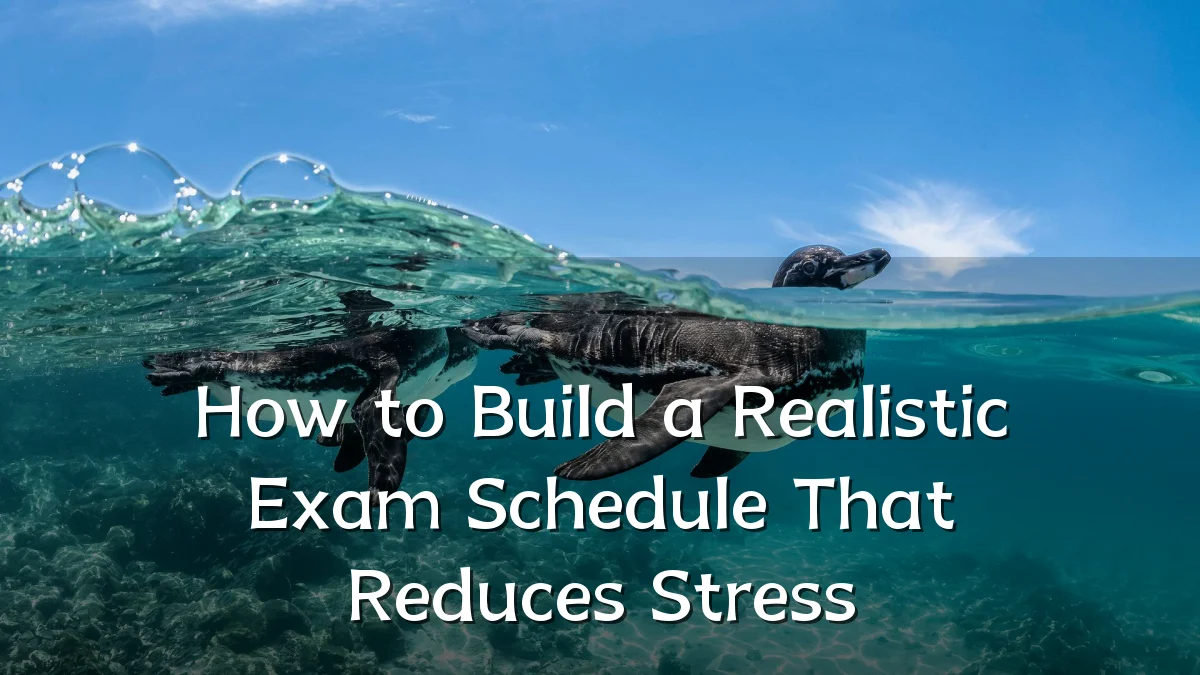 How to Build a Realistic Exam Schedule That Reduces Stress