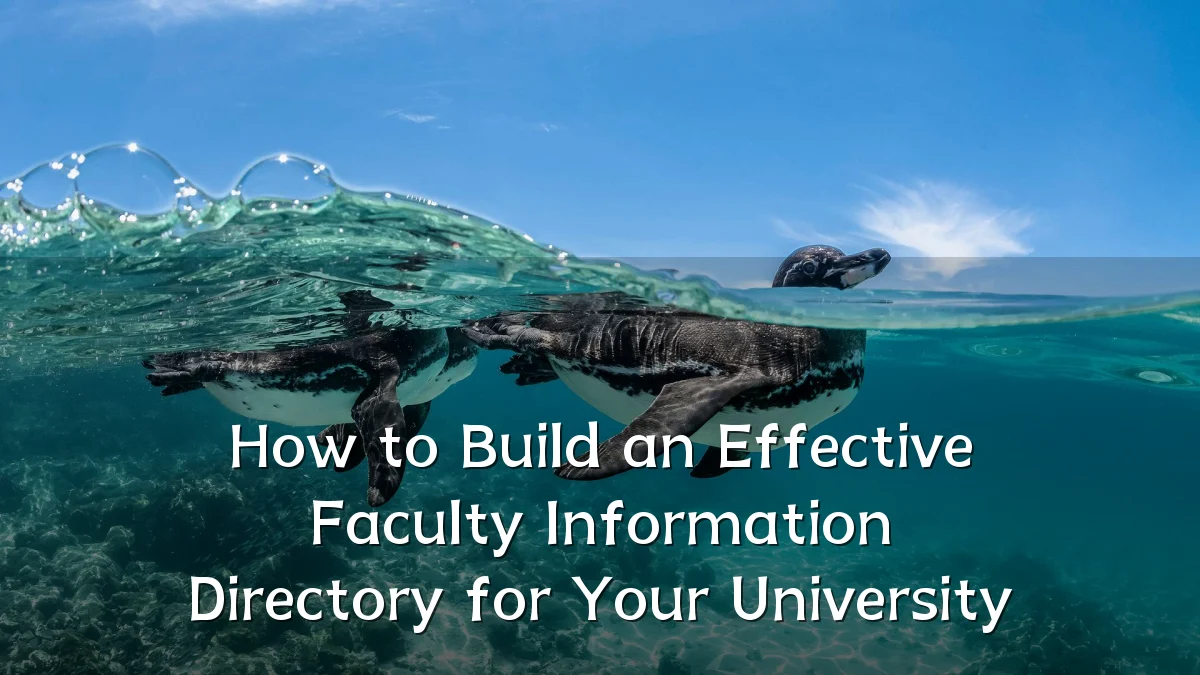 How to Build an Effective Faculty Information Directory for Your University