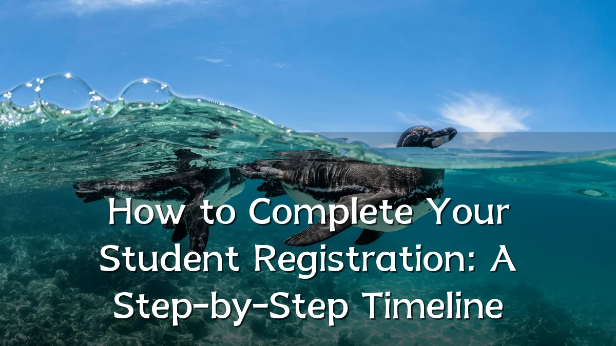 How to Complete Your Student Registration: A Step-by-Step Timeline