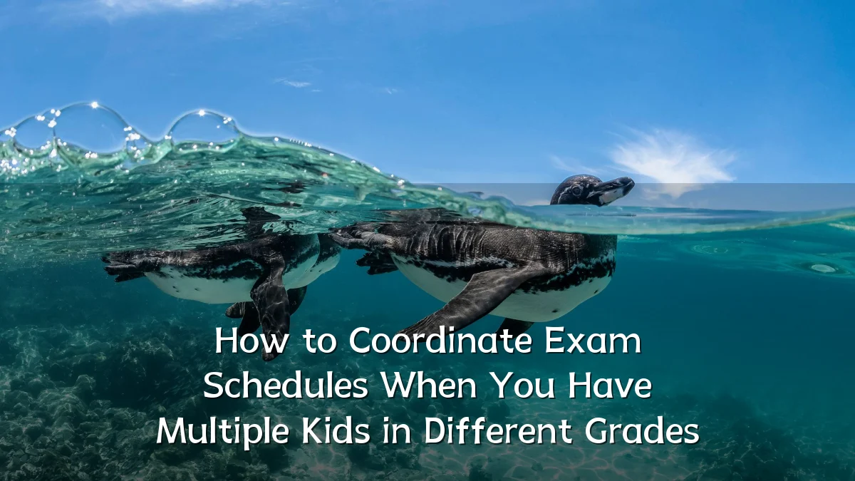 How to Coordinate Exam Schedules When You Have Multiple Kids in Different Grades