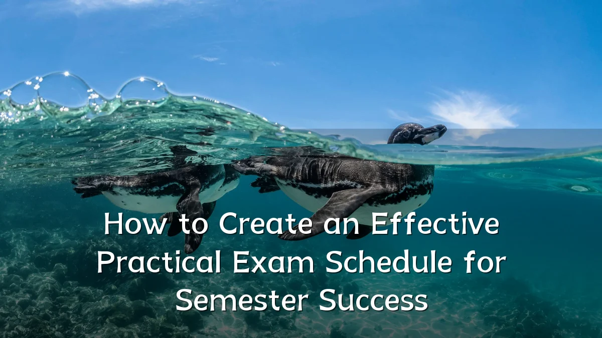 How to Create an Effective Practical Exam Schedule for Semester Success
