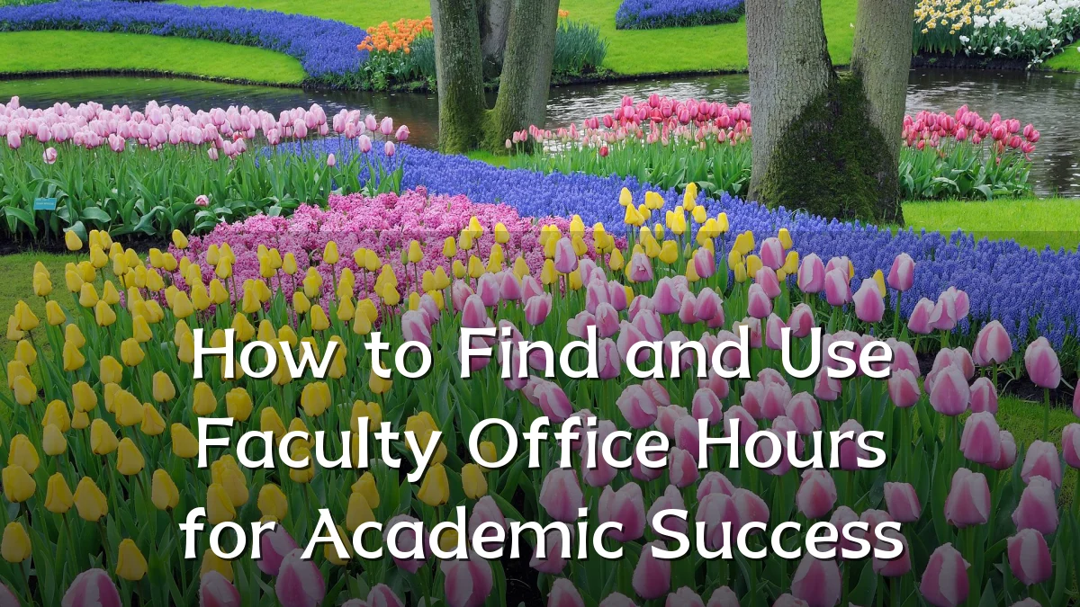 How to Find and Use Faculty Office Hours for Academic Success