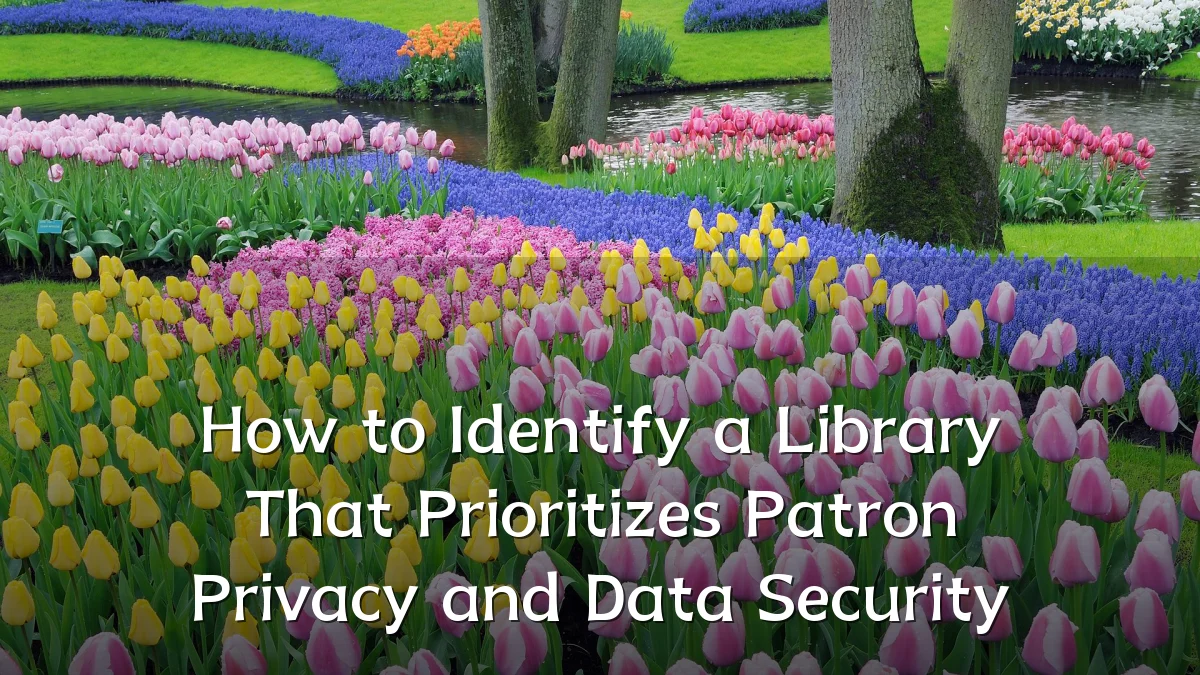 How to Identify a Library That Prioritizes Patron Privacy and Data Security