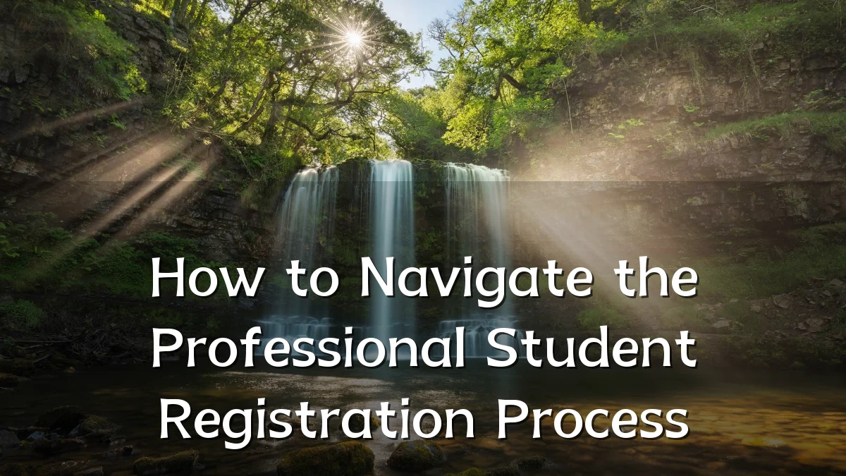 How to Navigate the Professional Student Registration Process