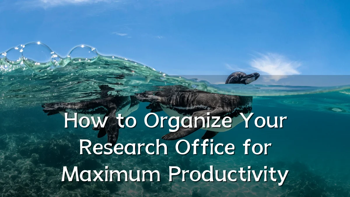How to Organize Your Research Office for Maximum Productivity