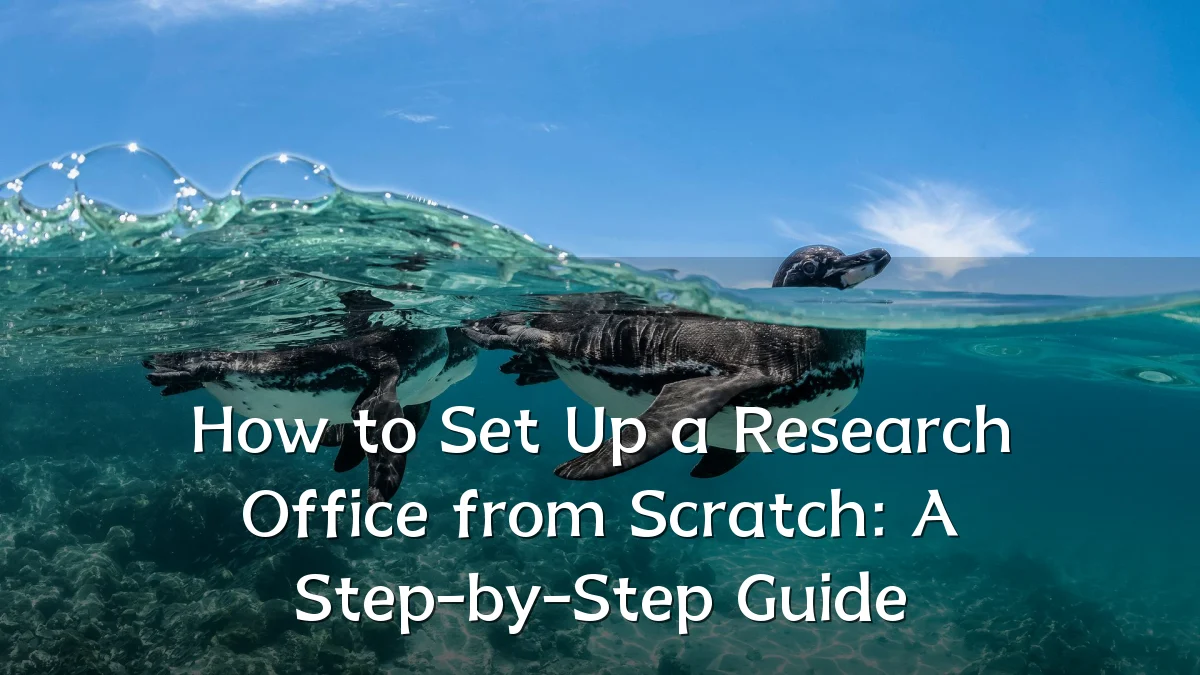 How to Set Up a Research Office from Scratch: A Step-by-Step Guide
