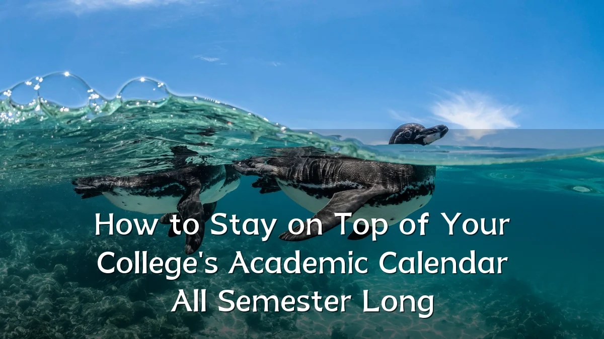 How to Stay on Top of Your College's Academic Calendar All Semester Long