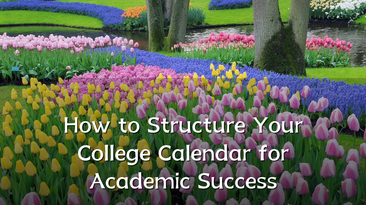 How to Structure Your College Calendar for Academic Success
