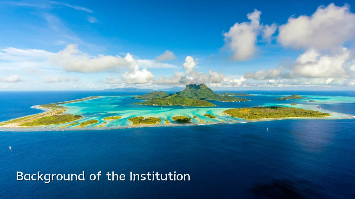 Background of the Institution