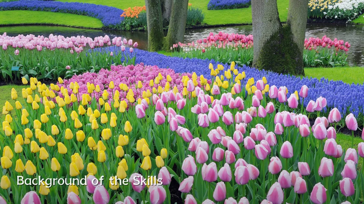 Background of the Skills