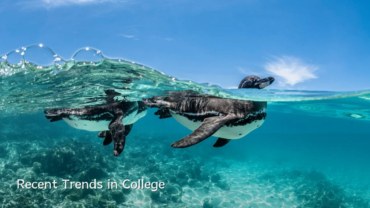 Recent Trends in College