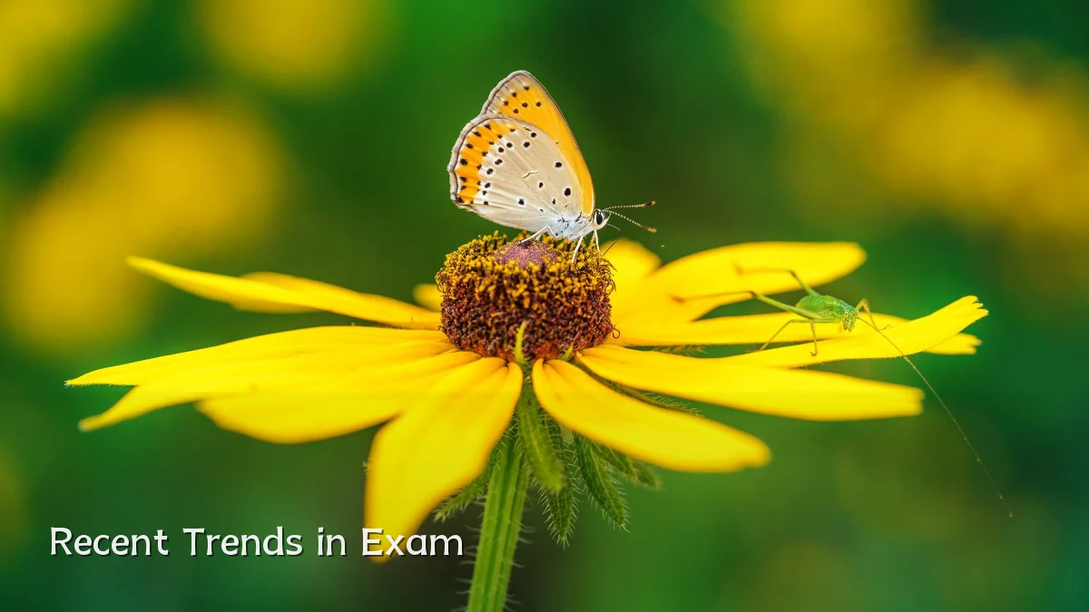 Recent Trends in Exam