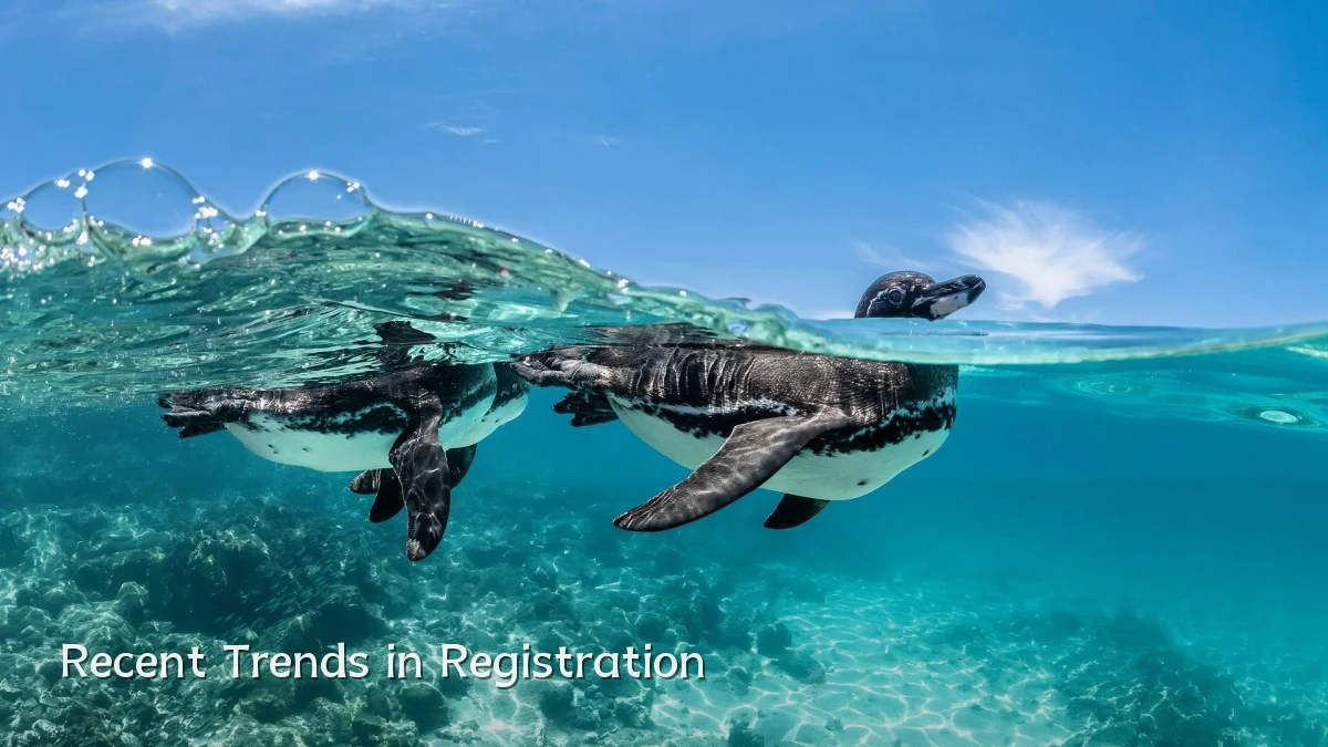 Recent Trends in Registration