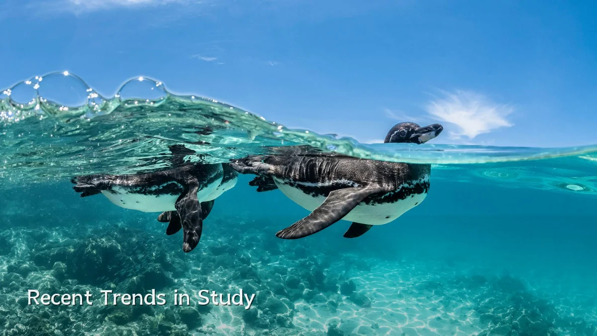 Recent Trends in Study