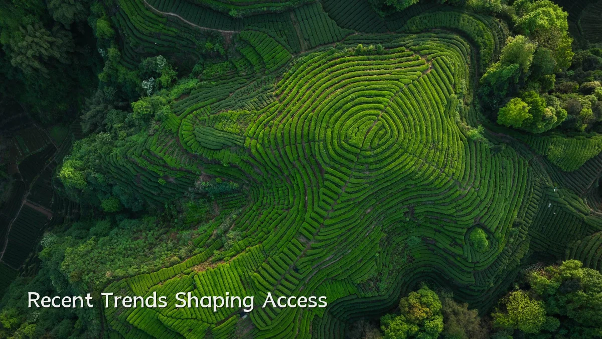 Recent Trends Shaping Access