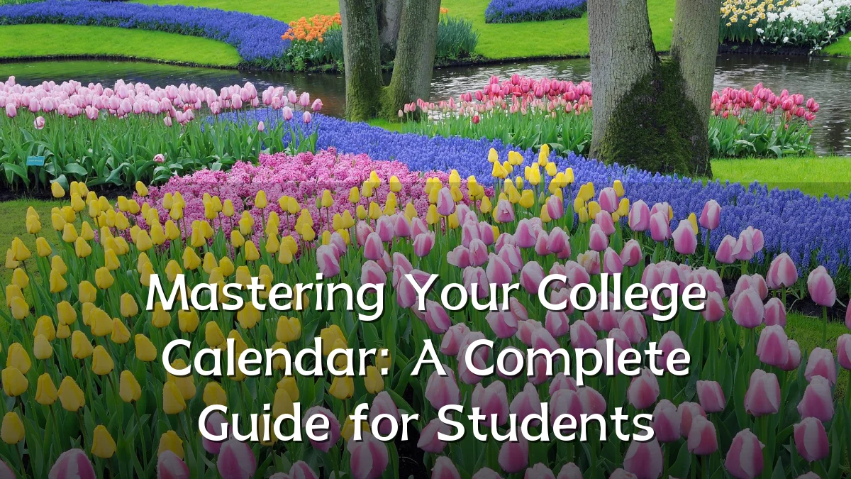 Mastering Your College Calendar: A Complete Guide for Students