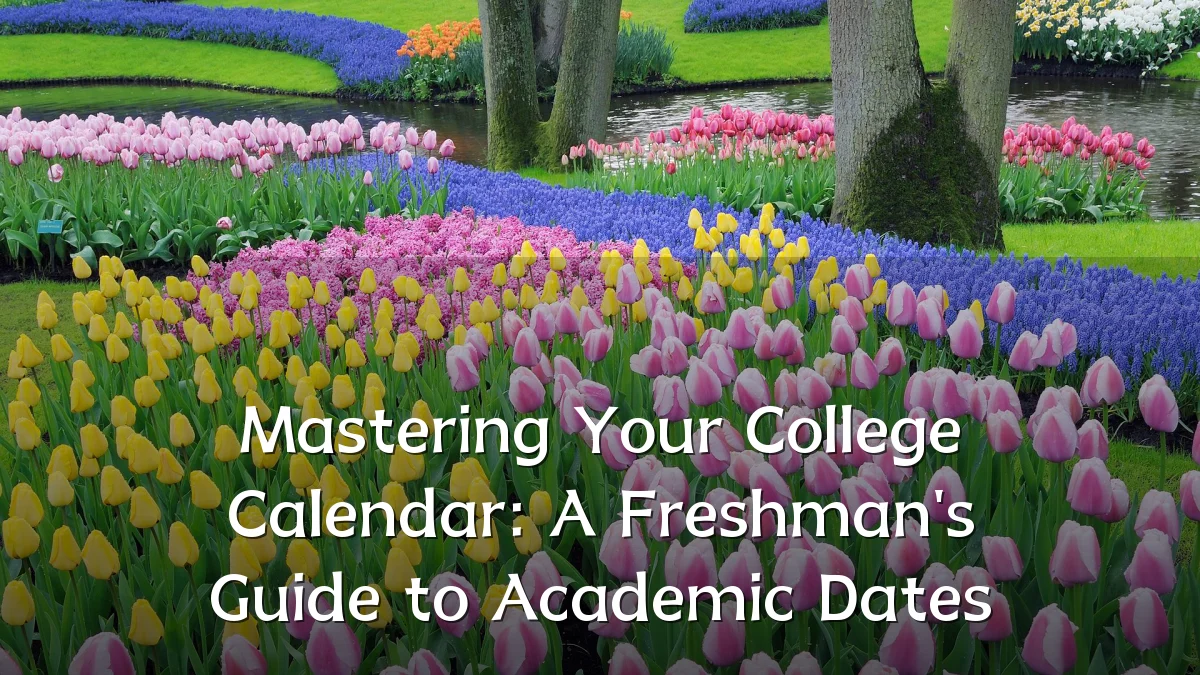 Mastering Your College Calendar: A Freshman's Guide to Academic Dates