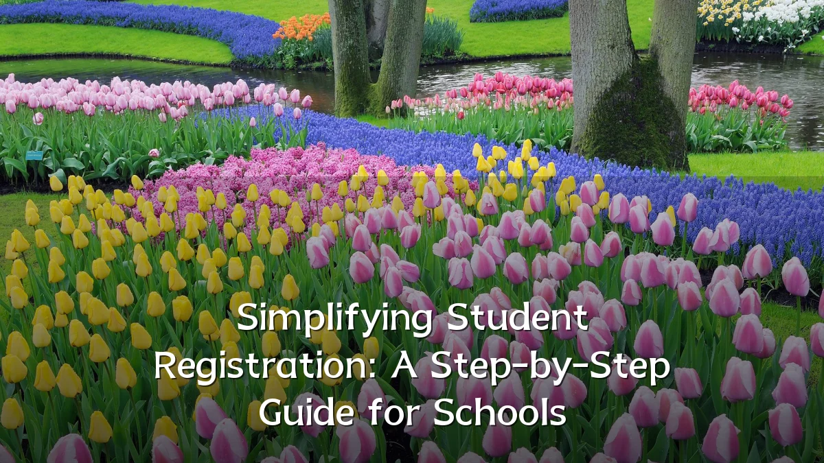 Simplifying Student Registration: A Step-by-Step Guide for Schools