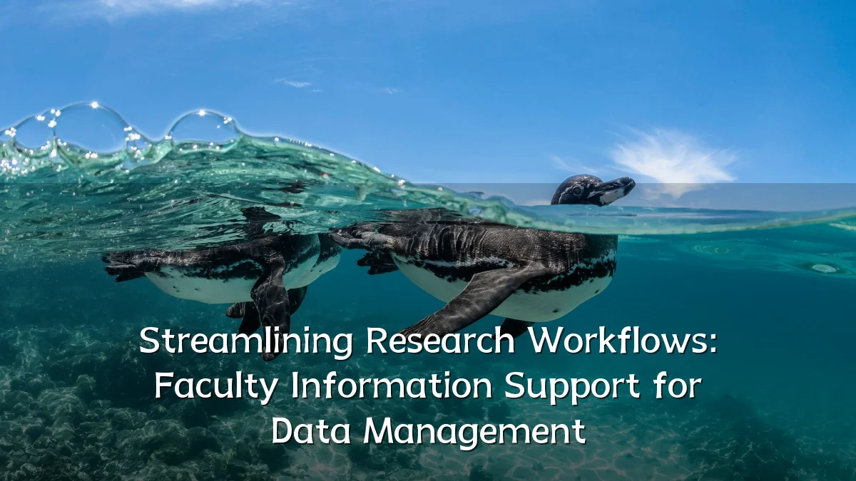 Streamlining Research Workflows: Faculty Information Support for Data Management
