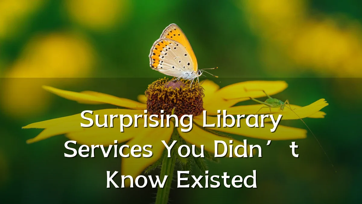 Surprising Library Services You Didn’t Know Existed
