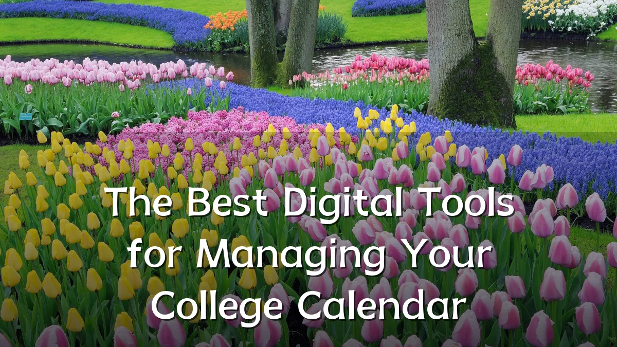 The Best Digital Tools for Managing Your College Calendar