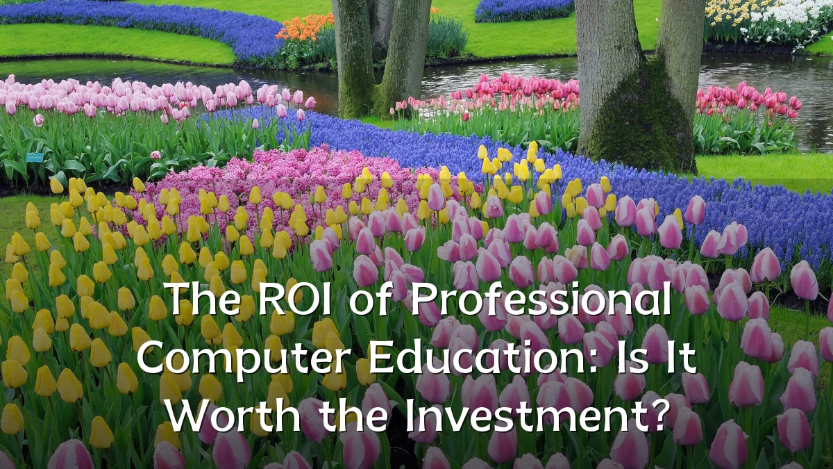 The ROI of Professional Computer Education: Is It Worth the Investment?