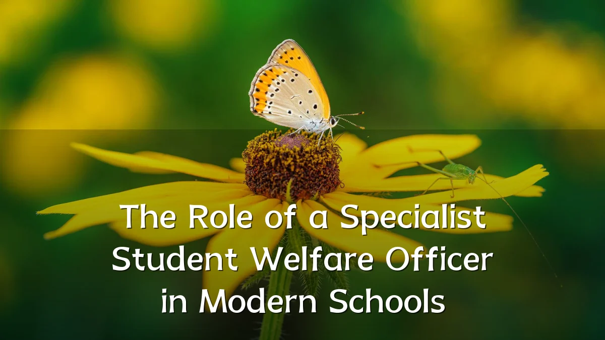 The Role of a Specialist Student Welfare Officer in Modern Schools