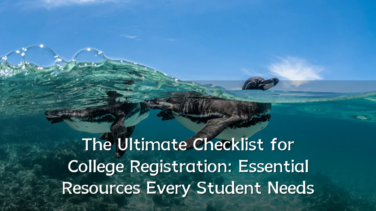 The Ultimate Checklist for College Registration: Essential Resources Every Student Needs