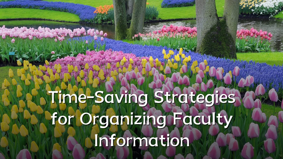 Time-Saving Strategies for Organizing Faculty Information