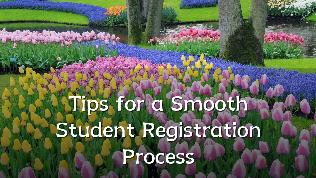 Tips for a Smooth Student Registration Process