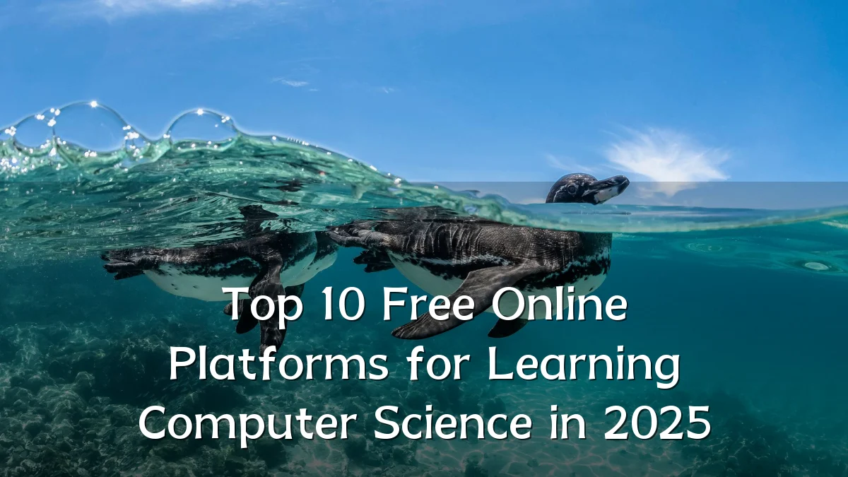 Top 10 Free Online Platforms for Learning Computer Science in 2025