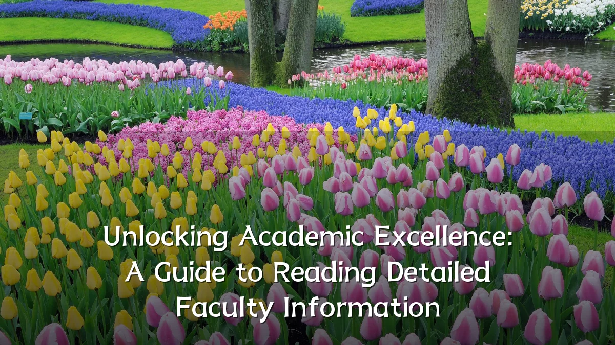 Unlocking Academic Excellence: A Guide to Reading Detailed Faculty Information